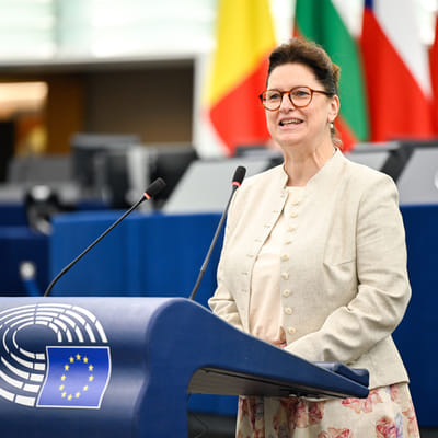 EP Plenary session - How to secure a sustainable future for the EU livestock sector in light of the need to ensure food security, farmers’ resilience and the challenges posed by animal diseases?