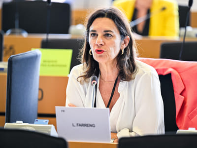 CULT - Establishing the Erasmus+ programme for the period 2028-2034