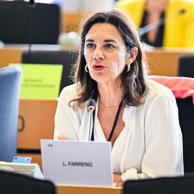 CULT - Establishing the Erasmus+ programme for the period 2028-2034