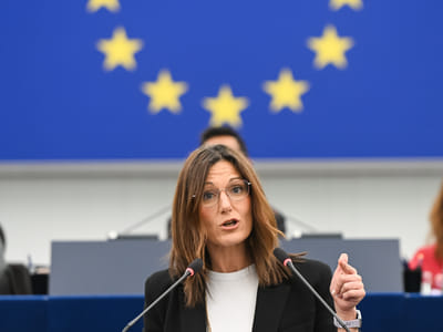 EP Plenary session - Debates on cases of breaches of human rights, democracy and the rule of law (Rule 150)